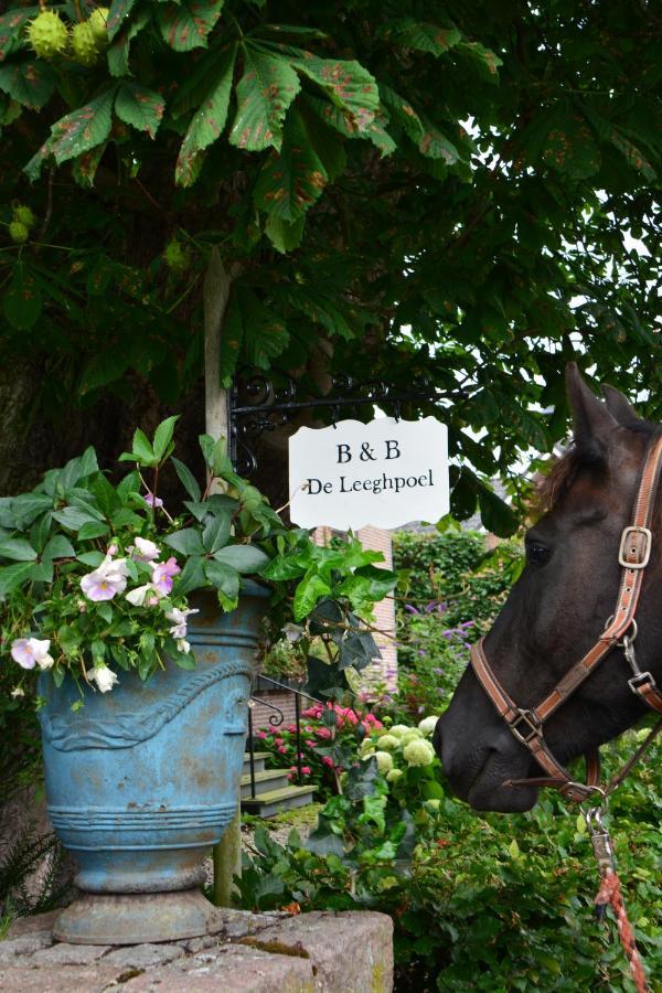 B&B De Leeghpoel Rumpt Exterior photo